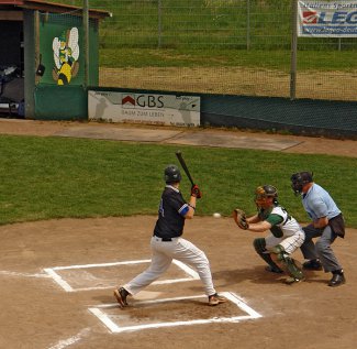 Baseball-Bundesliga Heimspiele