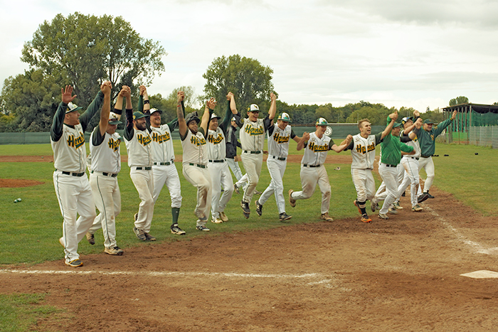 Saarlouis Hornets